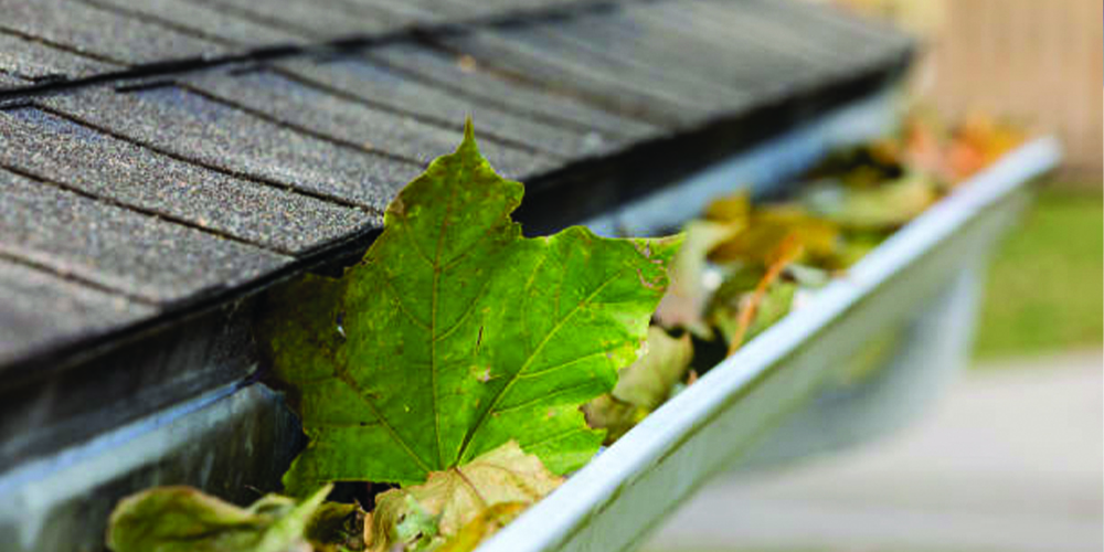 Gutter Cleaning Services London